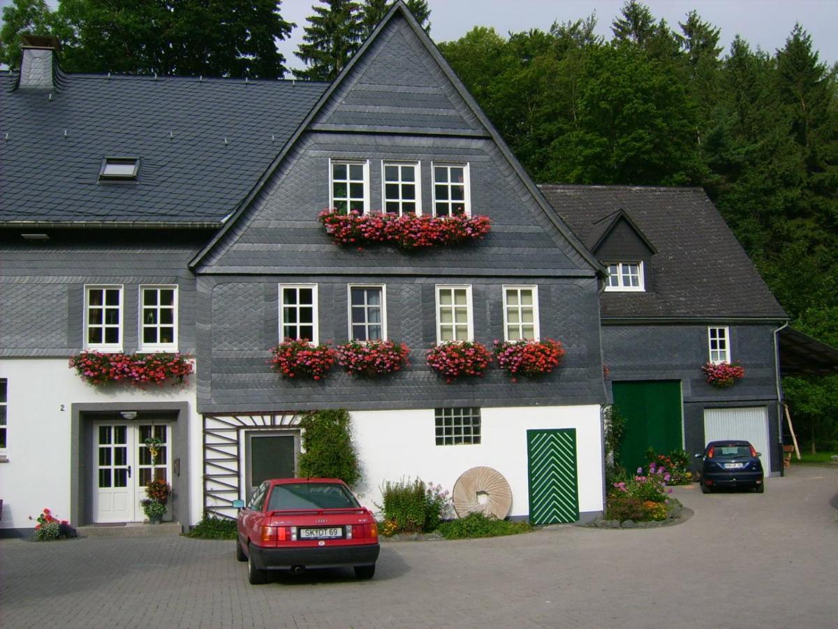 Ferienwohnung Zur Muhle Olsberg Exteriér fotografie