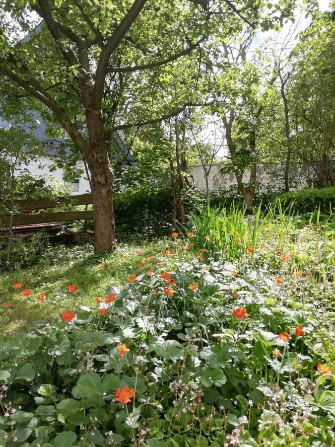 Ferienwohnung Zur Muhle Olsberg Exteriér fotografie